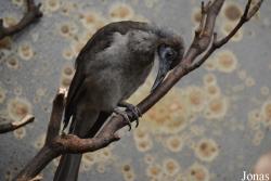 Zoo Wuppertal
