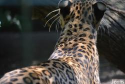 Zoo Wuppertal