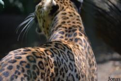 Zoo Wuppertal