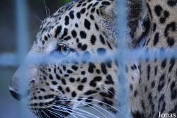 Zoo Wuppertal