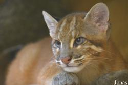 Zoo Wuppertal