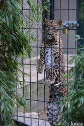 Zoo Wuppertal