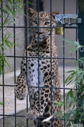 Zoo Wuppertal