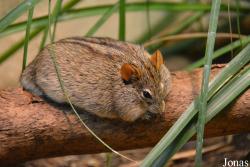 Zoo Wuppertal