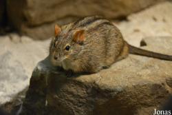 Zoo Wuppertal