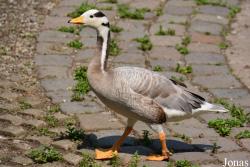 Zoo Wuppertal