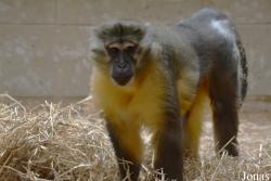 Zoo Wuppertal
