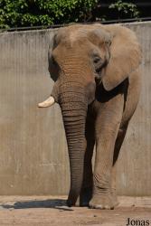 Zoo Wuppertal