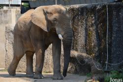 Zoo Wuppertal