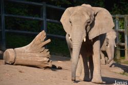 Zoo Wuppertal