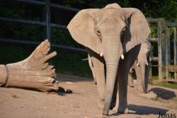 Zoo Wuppertal