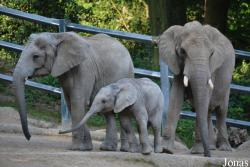 Zoo Wuppertal