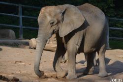 Zoo Wuppertal