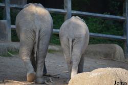 Zoo Wuppertal