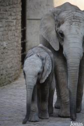 Zoo Wuppertal