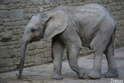 Zoo Wuppertal