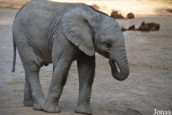 Zoo Wuppertal
