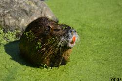AquaZoo Friesland