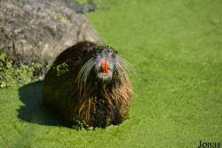 AquaZoo Friesland