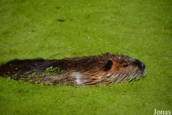 AquaZoo Friesland
