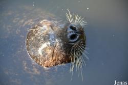 AquaZoo Friesland