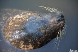 AquaZoo Friesland