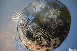 AquaZoo Friesland