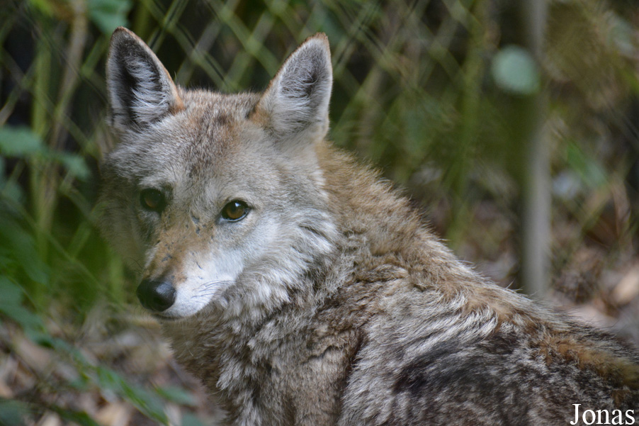 NaturZoo Rheine
