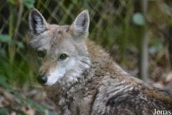 NaturZoo Rheine
