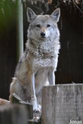 NaturZoo Rheine
