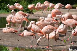 NaturZoo Rheine