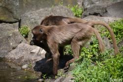 NaturZoo Rheine