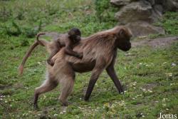 NaturZoo Rheine