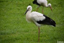NaturZoo Rheine