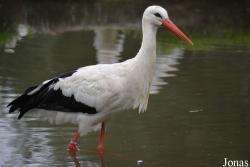 NaturZoo Rheine