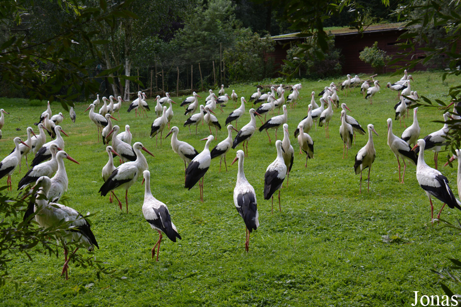 NaturZoo Rheine