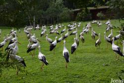 NaturZoo Rheine