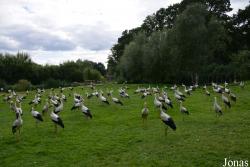 NaturZoo Rheine