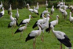 NaturZoo Rheine