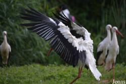 NaturZoo Rheine