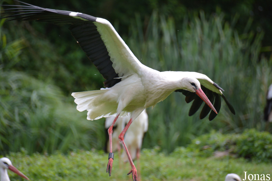 NaturZoo Rheine