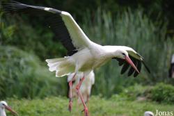 NaturZoo Rheine