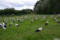 NaturZoo Rheine