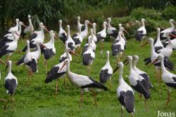 NaturZoo Rheine