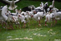 NaturZoo Rheine