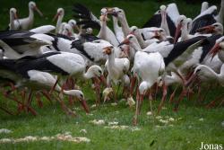 NaturZoo Rheine