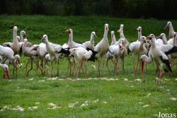 NaturZoo Rheine