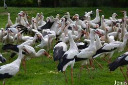 NaturZoo Rheine