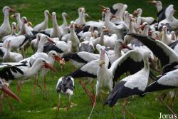 NaturZoo Rheine