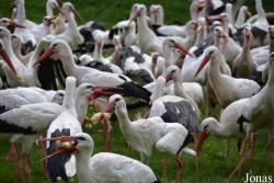 NaturZoo Rheine